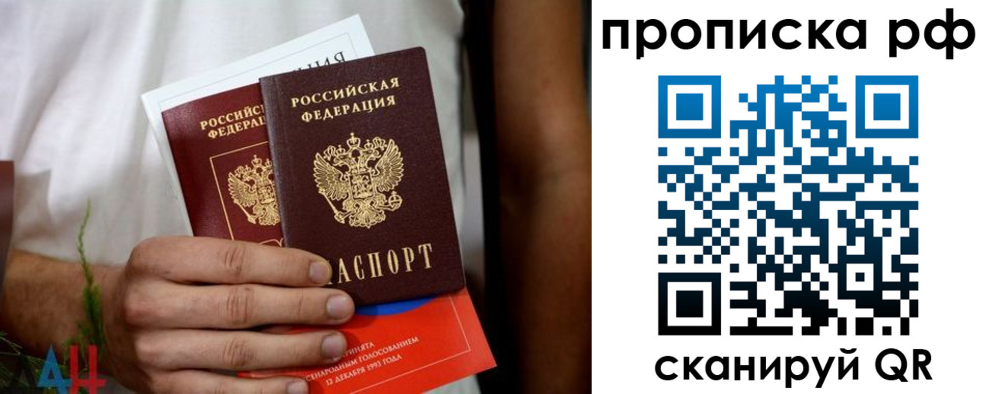 регистрация в Пионерском